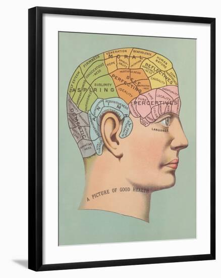 Phrenology Chart of Head-null-Framed Art Print