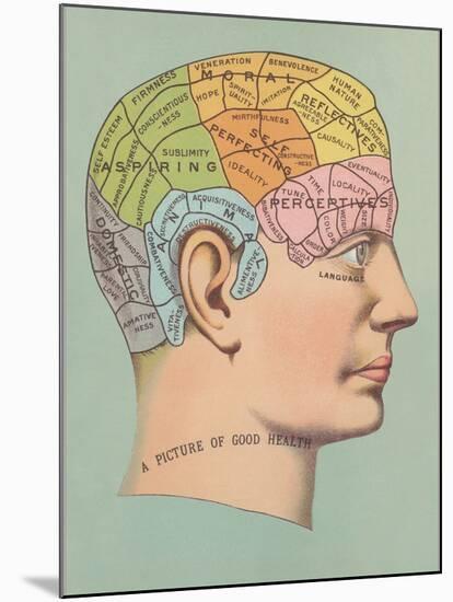 Phrenology Chart of Head-null-Mounted Art Print