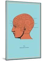 Phrenology Chart-null-Mounted Poster