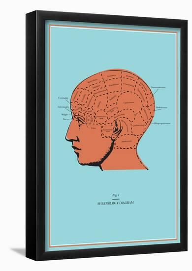 Phrenology Chart-null-Framed Poster