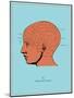 Phrenology Chart-null-Mounted Poster