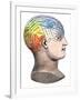 Phrenology Model of the Locations of the Various Organs of Mind in the Human Head-null-Framed Giclee Print