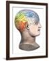 Phrenology Model of the Locations of the Various Organs of Mind in the Human Head-null-Framed Giclee Print