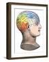 Phrenology Model of the Locations of the Various Organs of Mind in the Human Head-null-Framed Giclee Print