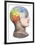 Phrenology Model of the Locations of the Various Organs of Mind in the Human Head-null-Framed Giclee Print