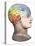 Phrenology Model of the Locations of the Various Organs of Mind in the Human Head-null-Stretched Canvas