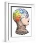 Phrenology Model of the Locations of the Various Organs of Mind in the Human Head-null-Framed Giclee Print