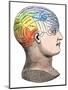 Phrenology Model of the Locations of the Various Organs of Mind in the Human Head-null-Mounted Giclee Print