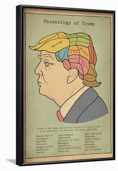 Phrenology Of Trump-null-Framed Poster