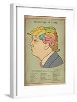 Phrenology Of Trump-null-Framed Poster