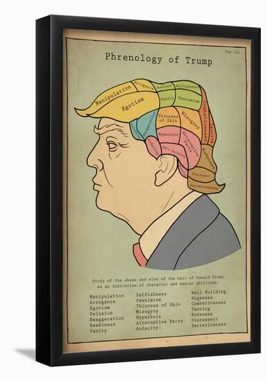 Phrenology Of Trump-null-Framed Poster