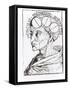 Phrenology-null-Framed Stretched Canvas