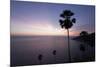 Phromthep Cape, Phuket, Thailand, Southeast Asia, Asia-Sergio Pitamitz-Mounted Photographic Print