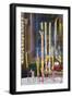 Phuoc an Hoi Quan Pagoda, Cholon, Ho Chi Minh City, Vietnam, Indochina, Southeast Asia, Asia-Ian Trower-Framed Photographic Print