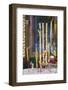 Phuoc an Hoi Quan Pagoda, Cholon, Ho Chi Minh City, Vietnam, Indochina, Southeast Asia, Asia-Ian Trower-Framed Photographic Print