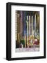 Phuoc an Hoi Quan Pagoda, Cholon, Ho Chi Minh City, Vietnam, Indochina, Southeast Asia, Asia-Ian Trower-Framed Photographic Print