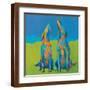 Brown Frame