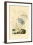 Phyllosome, 1833-39-null-Framed Giclee Print