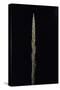 Phyllostachys Parvifolia (Anji Golden Bamboo) - Shoot-Paul Starosta-Stretched Canvas