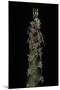 Phyllostachys Pubescens (Moso Bamboo) - Shoot-Paul Starosta-Mounted Photographic Print