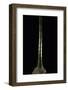 Phyllostachys Pubescens (Moso Bamboo)-Paul Starosta-Framed Photographic Print