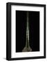 Phyllostachys Pubescens (Moso Bamboo)-Paul Starosta-Framed Photographic Print