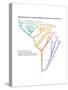 Phylogeny Based on Differences in the Protein Sequence of Cytochrome C in Organisms-Encyclopaedia Britannica-Stretched Canvas