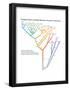 Phylogeny Based on Differences in the Protein Sequence of Cytochrome C in Organisms-Encyclopaedia Britannica-Framed Poster