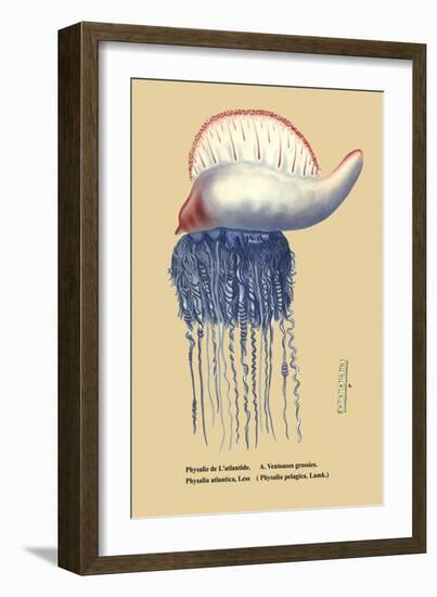 Physalie de l'Atlantide-null-Framed Art Print