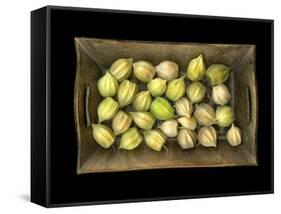 Physalis on a Wood Tablet Isolated on Black Backgound-Christian Slanec-Framed Stretched Canvas