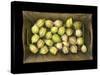 Physalis on a Wood Tablet Isolated on Black Backgound-Christian Slanec-Stretched Canvas