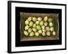 Physalis on a Wood Tablet Isolated on Black Backgound-Christian Slanec-Framed Photographic Print