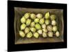 Physalis on a Wood Tablet Isolated on Black Backgound-Christian Slanec-Stretched Canvas