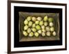 Physalis on a Wood Tablet Isolated on Black Backgound-Christian Slanec-Framed Photographic Print