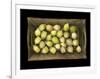 Physalis on a Wood Tablet Isolated on Black Backgound-Christian Slanec-Framed Photographic Print