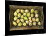 Physalis on a Wood Tablet Isolated on Black Backgound-Christian Slanec-Mounted Photographic Print