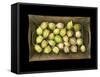 Physalis on a Wood Tablet Isolated on Black Backgound-Christian Slanec-Framed Stretched Canvas