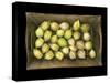 Physalis on a Wood Tablet Isolated on Black Backgound-Christian Slanec-Stretched Canvas