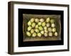 Physalis on a Wood Tablet Isolated on Black Backgound-Christian Slanec-Framed Photographic Print