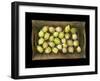 Physalis on a Wood Tablet Isolated on Black Backgound-Christian Slanec-Framed Photographic Print