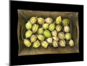 Physalis on a Wood Tablet Isolated on Black Backgound-Christian Slanec-Mounted Photographic Print