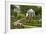 Physic Garden, Cowbridge, Vale of Glamorgan, Wales, United Kingdom, Europe-Billy Stock-Framed Photographic Print