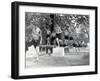 Physical Education: Beam Exercise-null-Framed Photographic Print