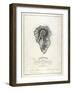 Physical Map of La Palma, 1814-Leopold de Buch-Framed Giclee Print