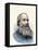 Physicist James Prescott Joule-null-Framed Stretched Canvas