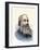 Physicist James Prescott Joule-null-Framed Giclee Print