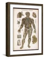 Physiological Diagram of the Lymphatic System-null-Framed Photographic Print