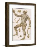 Physiological Diagram of the Muscles Joints and Animal Mechanics of the Human Body-null-Framed Photographic Print