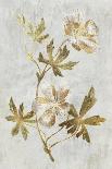 Cut Leaved Phacelia-PI Collection-Art Print