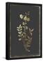 Essential Black